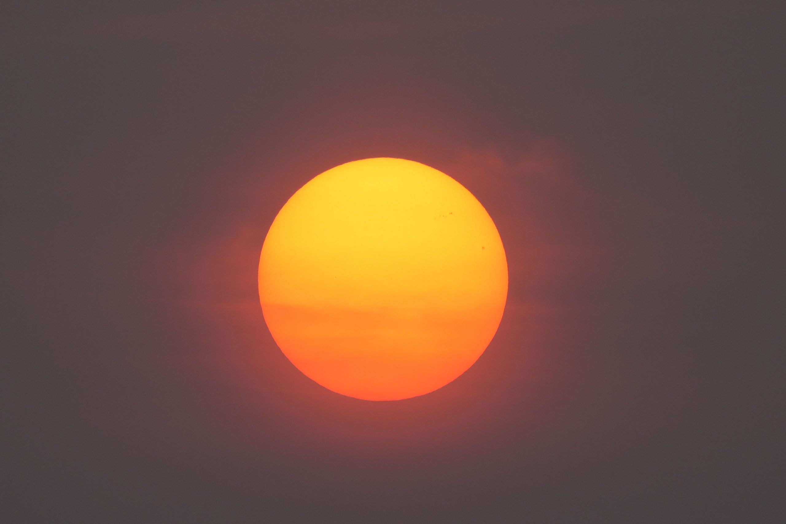 Sol og sommer